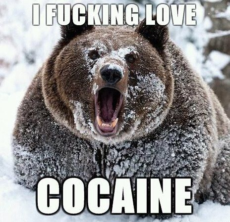 I FUCKING LOVE COCAINE